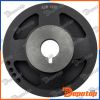 Poulie damper vilebrequin pour CHEVROLET | RKP-DW-000, VKM96000